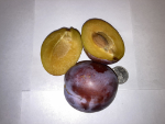 BROOKS PLUM (Prunus domestica)